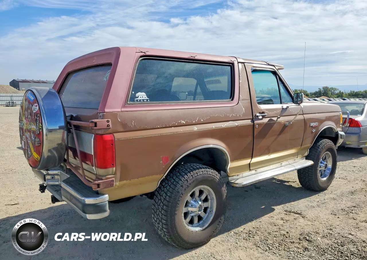 1989 Ford Bronco U100 VIN:1FMEU15N4KLA82395 - 3