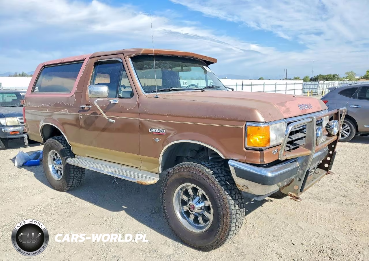 1989 Ford Bronco U100 VIN:1FMEU15N4KLA82395 - 4