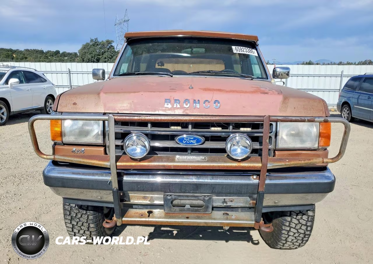1989 Ford Bronco U100 VIN:1FMEU15N4KLA82395 - 5