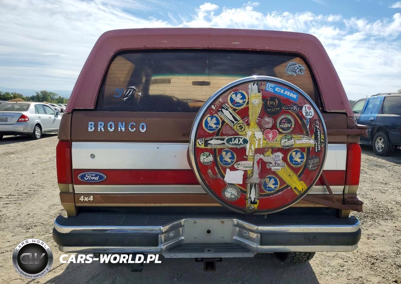 1989 Ford Bronco U100 VIN:1FMEU15N4KLA82395 - 6