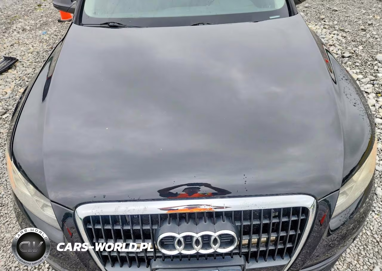 2010 Audi Q5 Premium Plus VIN:WA1LKAFP2AA030513 - 12