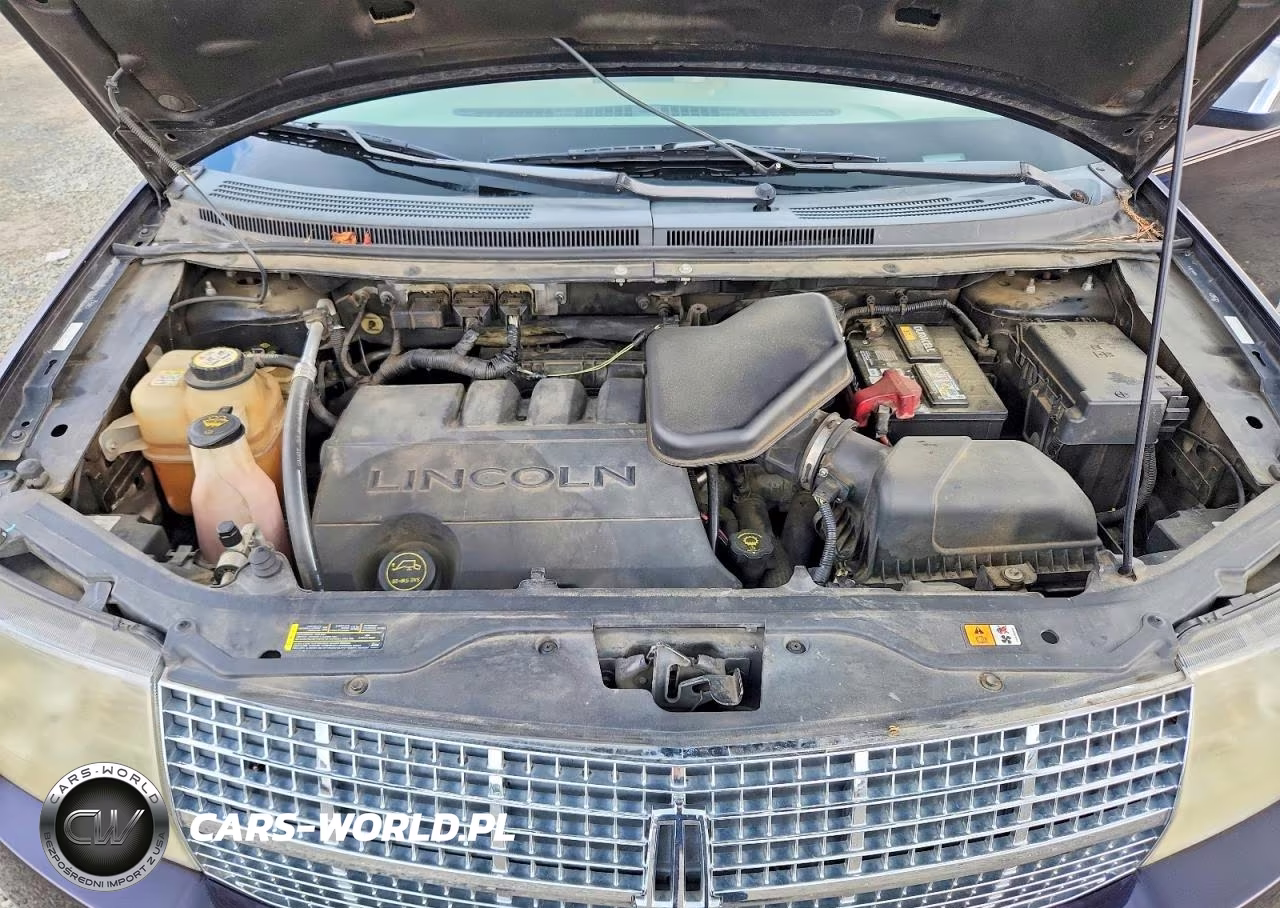 2007 Lincoln Mkx VIN:2LMDU68C57BJ05293 - 12