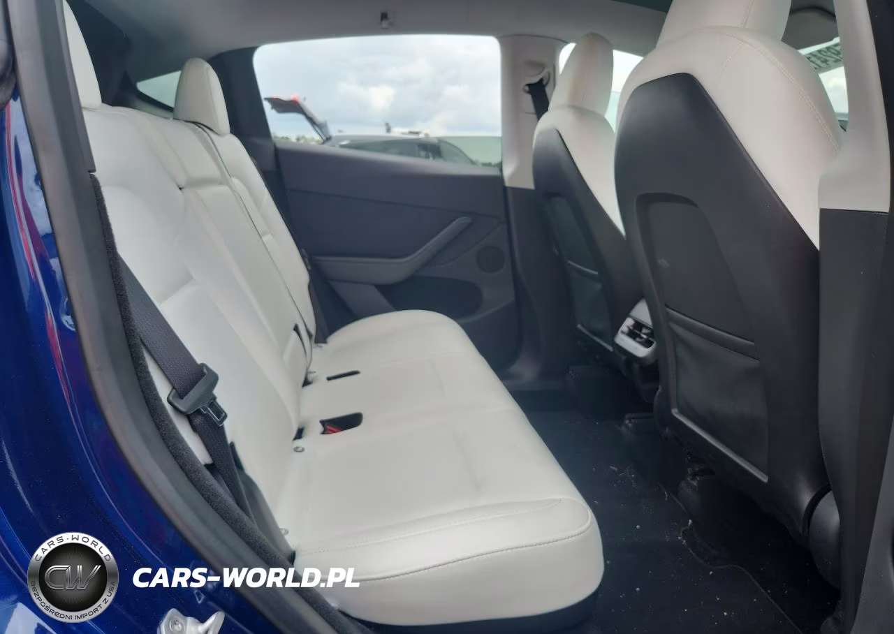2023 Tesla Model Y VIN:7SAYGDEE1PA080723 - 10