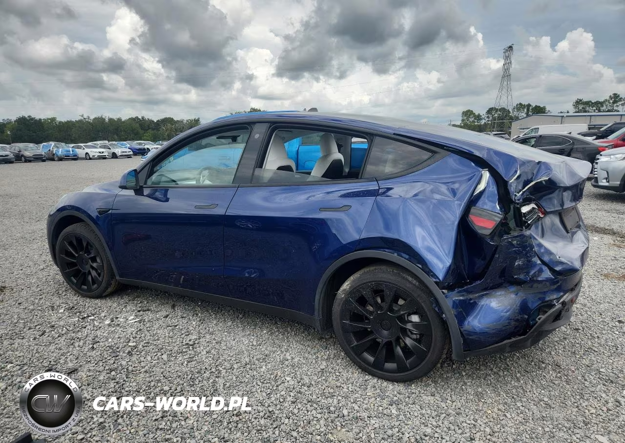 2023 Tesla Model Y VIN:7SAYGDEE1PA080723 - 2