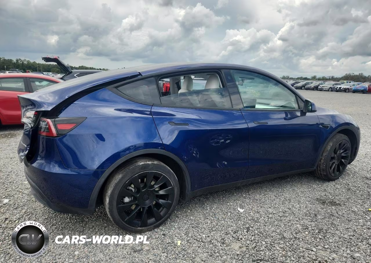 2023 Tesla Model Y VIN:7SAYGDEE1PA080723 - 3