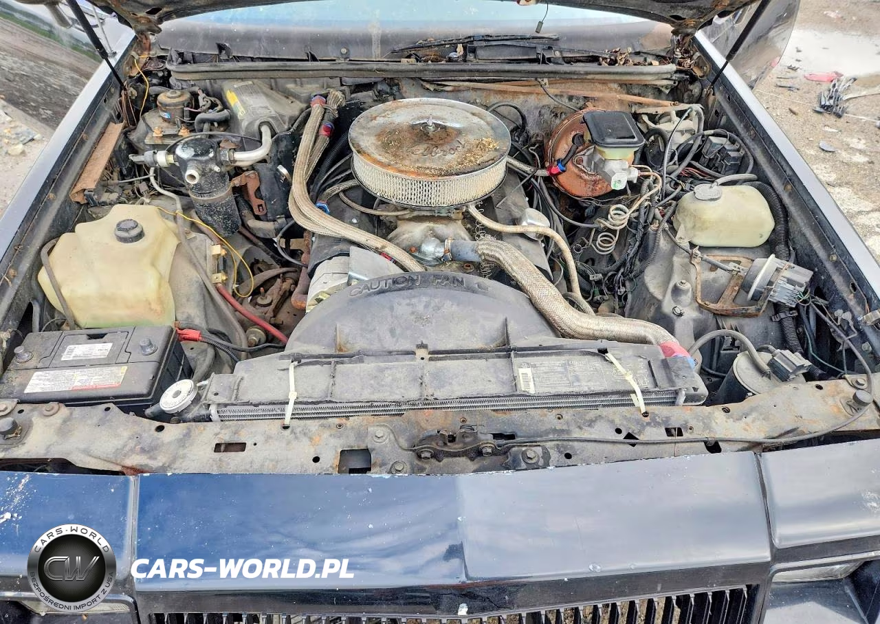 1987 Buick Regal VIN:1G4GJ1177HP429356 - 11
