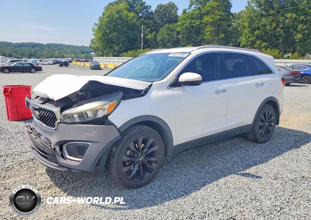 2017 Kia Sorento Lx VIN:5XYPG4A36HG276537 - 1