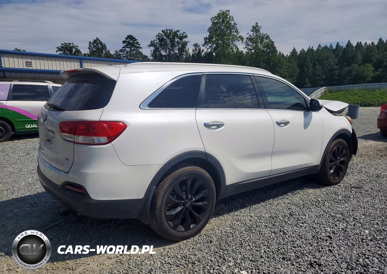 2017 Kia Sorento Lx VIN:5XYPG4A36HG276537 - 3