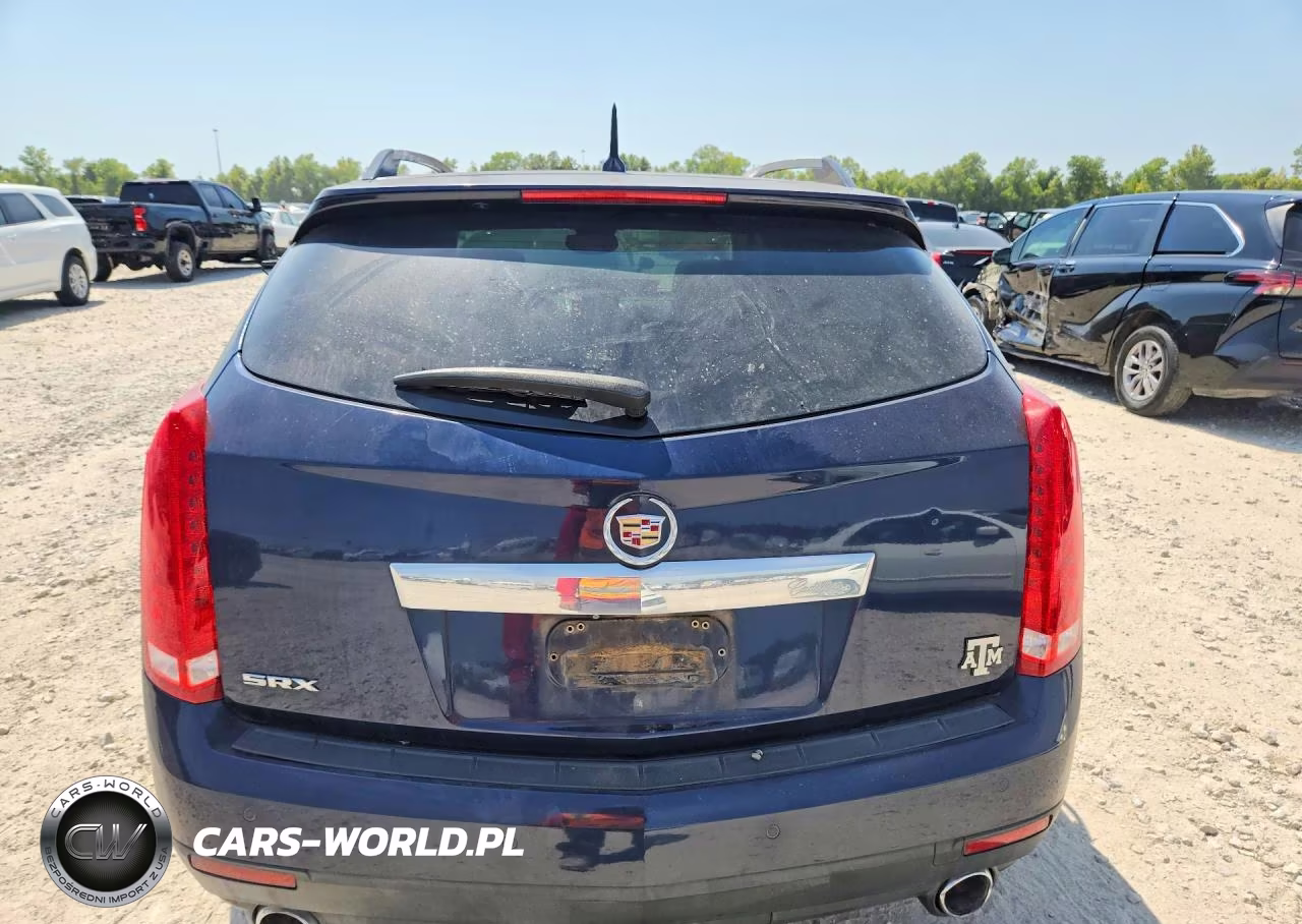 2010 Cadillac Srx Performance Collection VIN:3GYFNBEY9AS540540 - 6