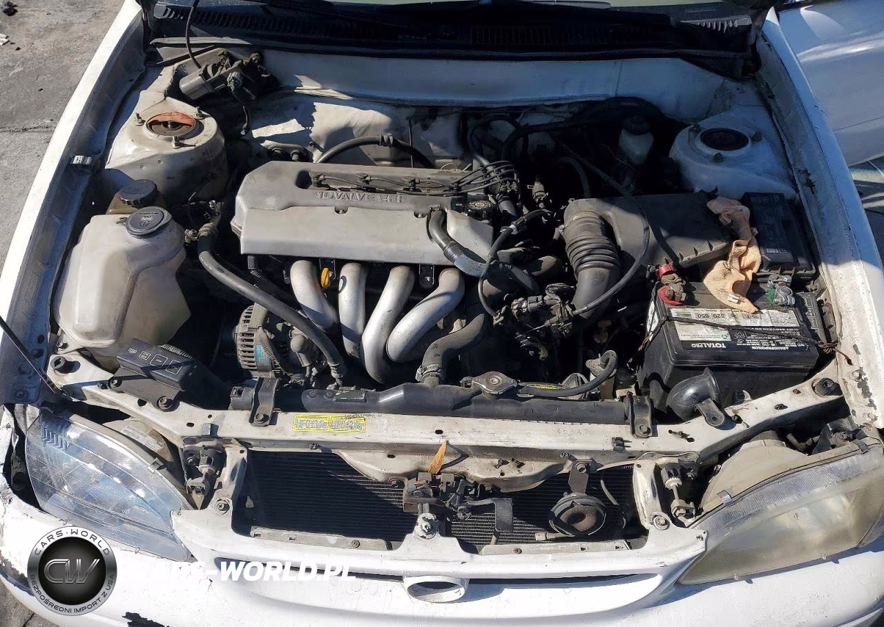 1998 Toyota Corolla Ve VIN:1NXBR12E3WZ102998 - 11