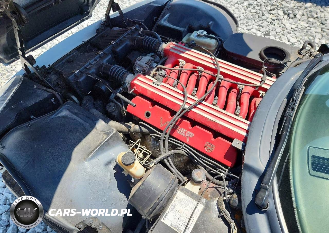 1996 Dodge Viper Rt-10 VIN:1B3BR65E3TV100060 - 11