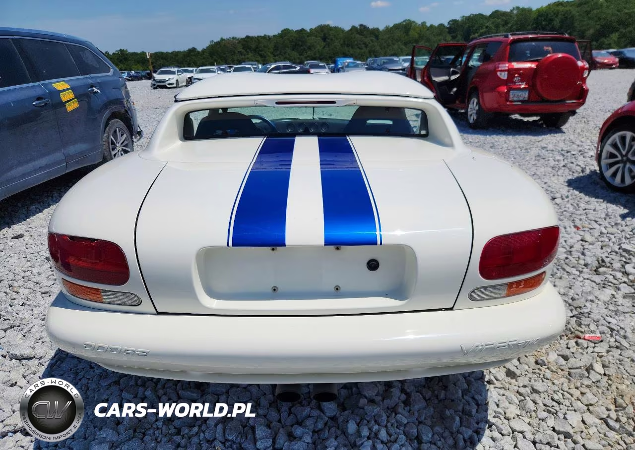 1996 Dodge Viper Rt-10 VIN:1B3BR65E3TV100060 - 6