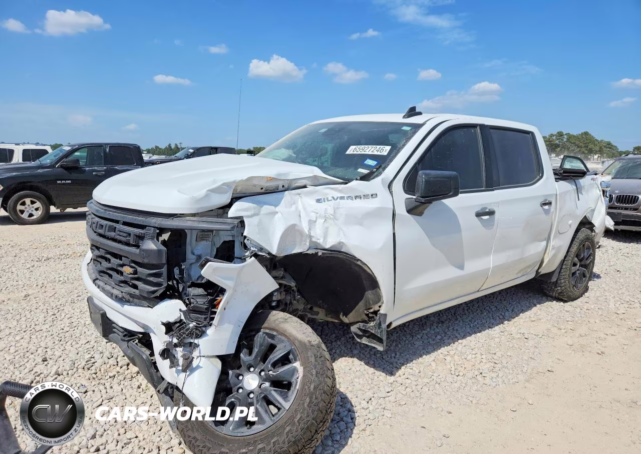 2022 Chevrolet Silverado K1500 Custom VIN:1GCPDBEK2NZ528506 - 1