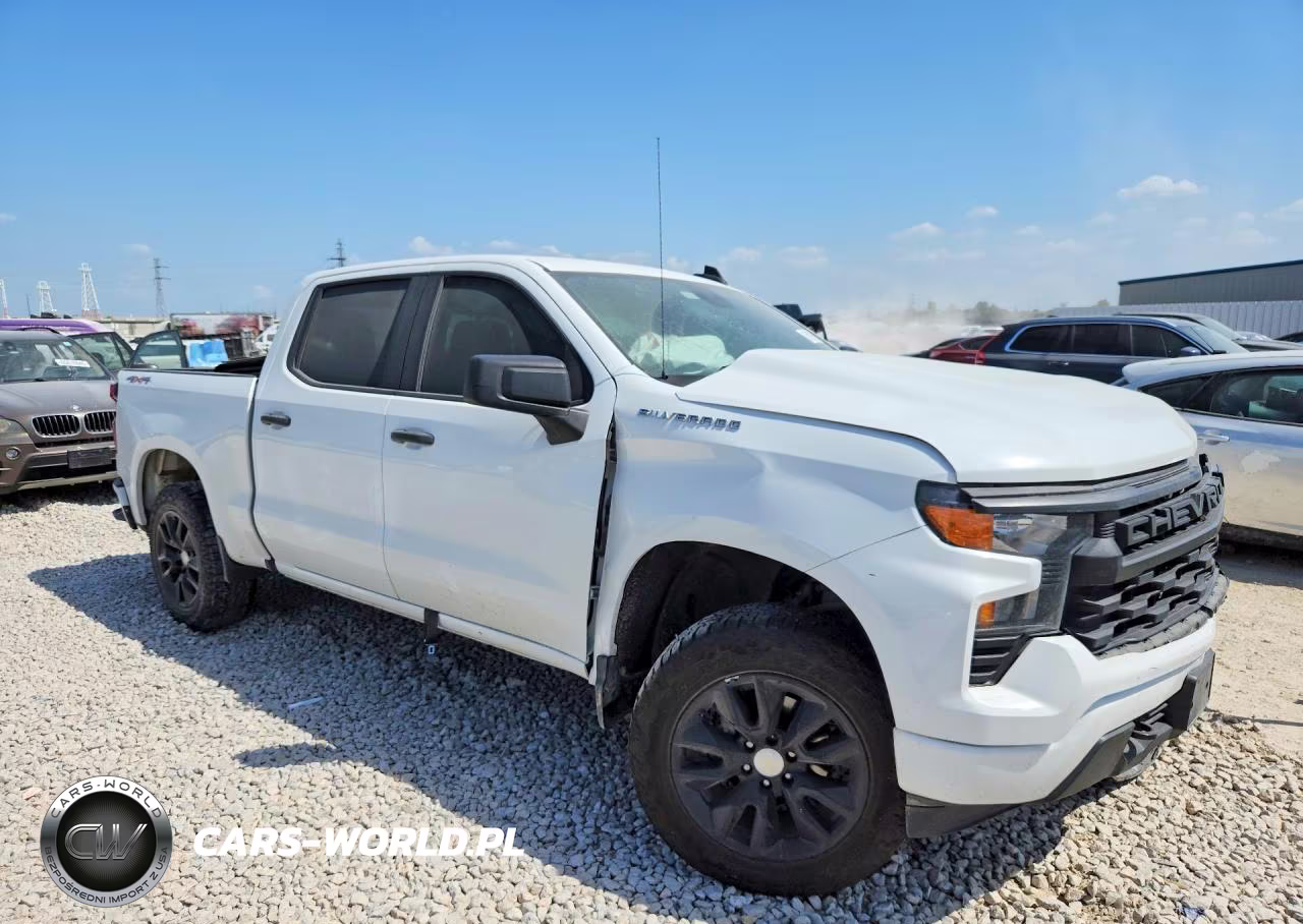 2022 Chevrolet Silverado K1500 Custom VIN:1GCPDBEK2NZ528506 - 4