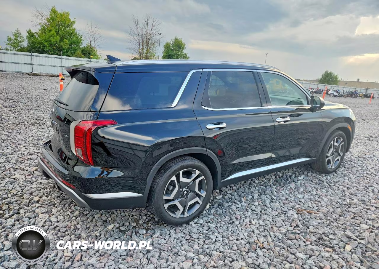 2024 Hyundai Palisade Sel Premium VIN:KM8R4DGE1RU680173 - 3