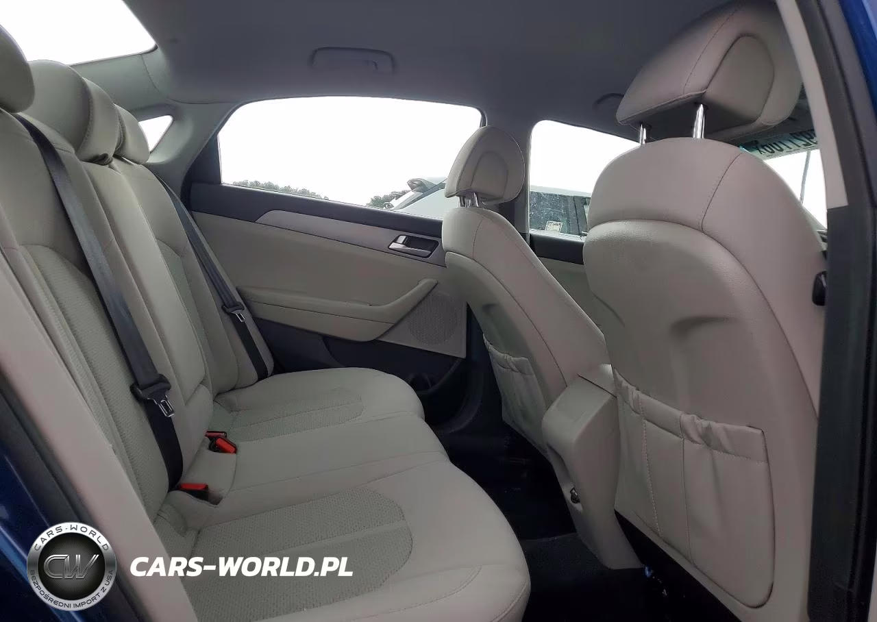 2016 Hyundai Sonata Se VIN:5NPE24AF3GH299104 - 10