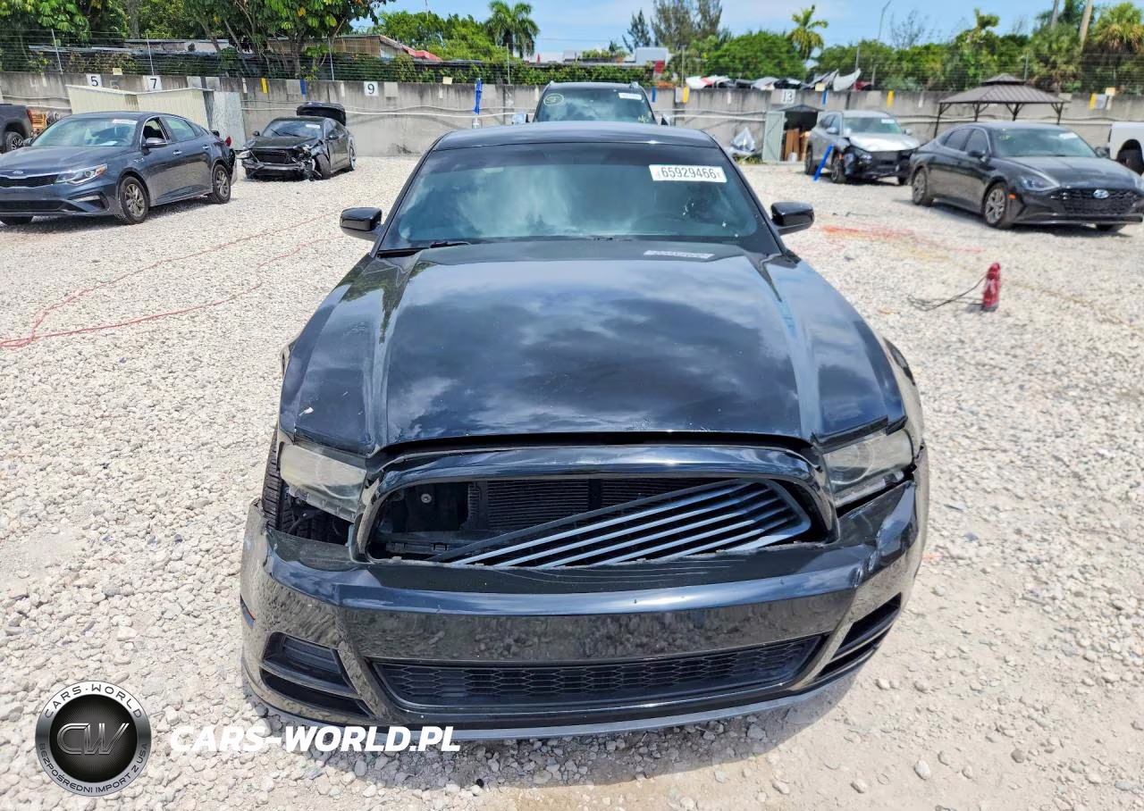 2013 Ford Mustang VIN:1ZVBP8AM4D5258449 - 5