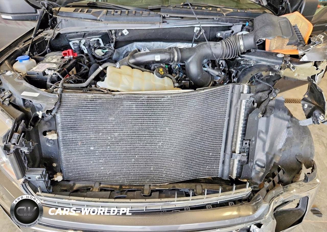 2019 Ford F150 Supercrew VIN:1FTEW1EP4KKD96506 - 11