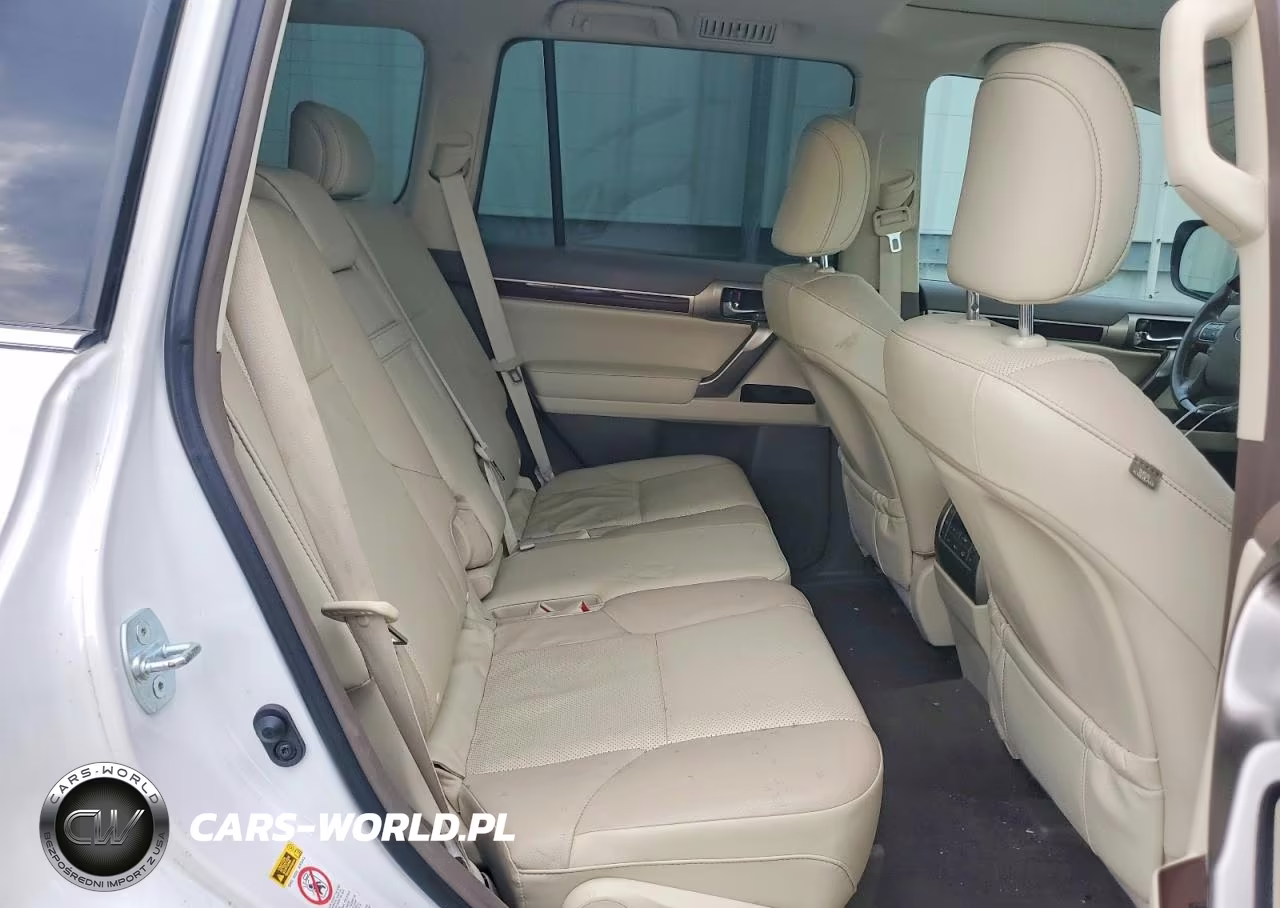 2019 Lexus Gx 460 VIN:JTJBM7FX9K5229001 - 10