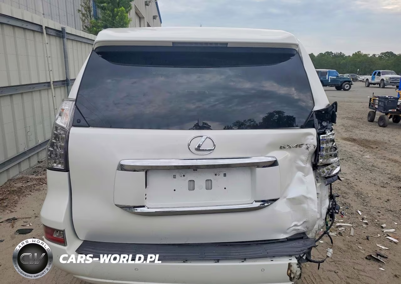 2019 Lexus Gx 460 VIN:JTJBM7FX9K5229001 - 6