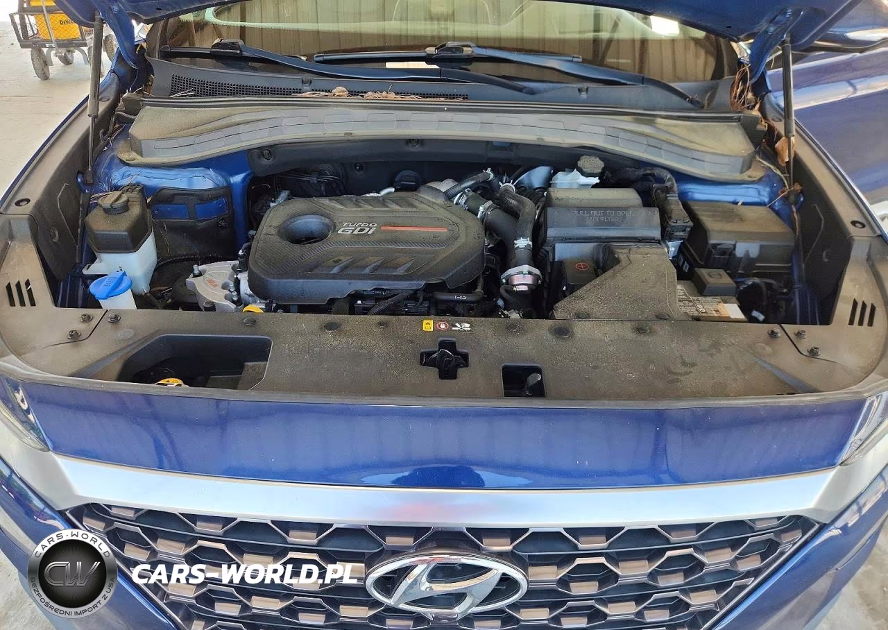 2019 Hyundai Santa Fe Ultimate 2.0T VIN:5NMS53AA3KH068573 - 11