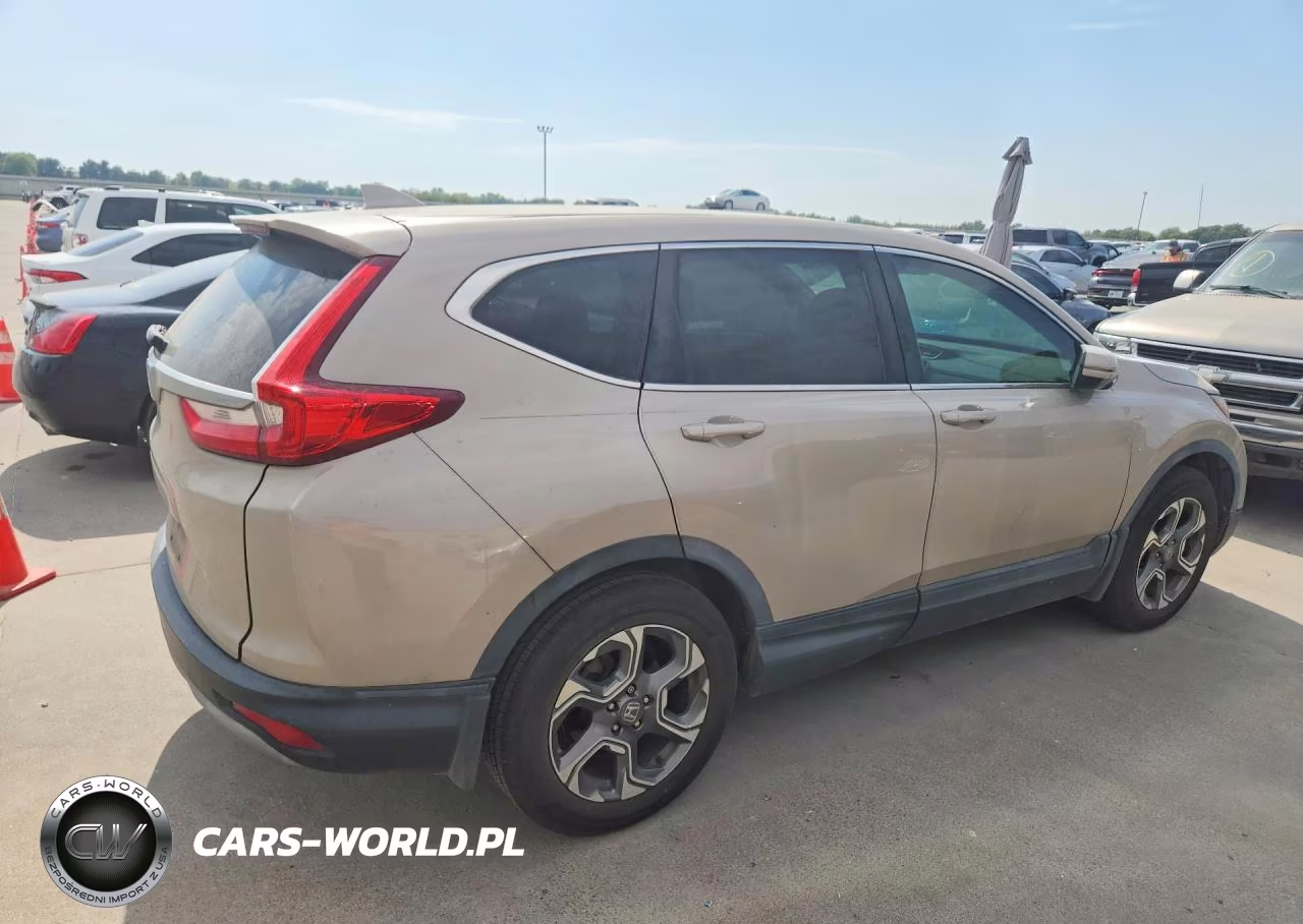 2019 Honda Cr-V Exl VIN:5J6RW1H81KL002731 - 3