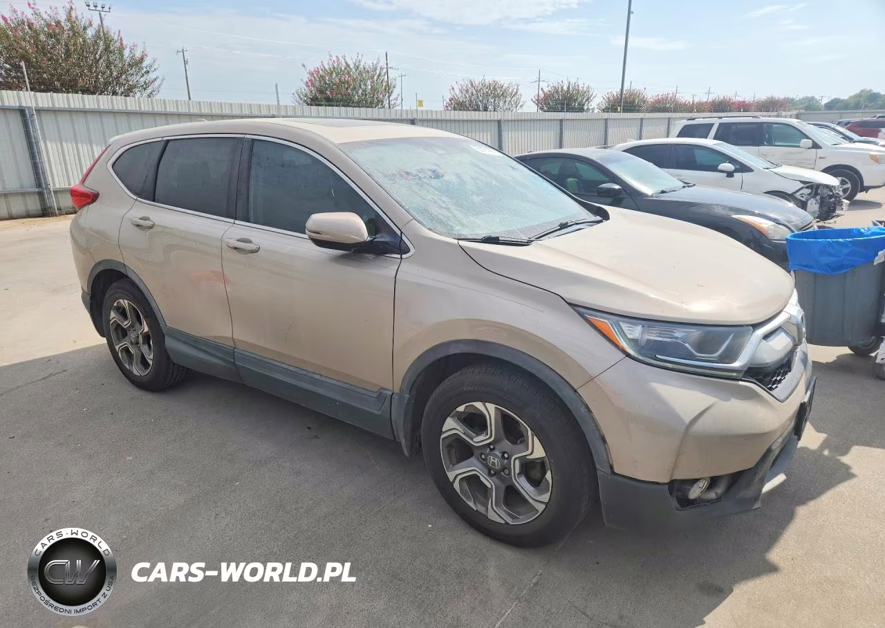 2019 Honda Cr-V Exl VIN:5J6RW1H81KL002731 - 4