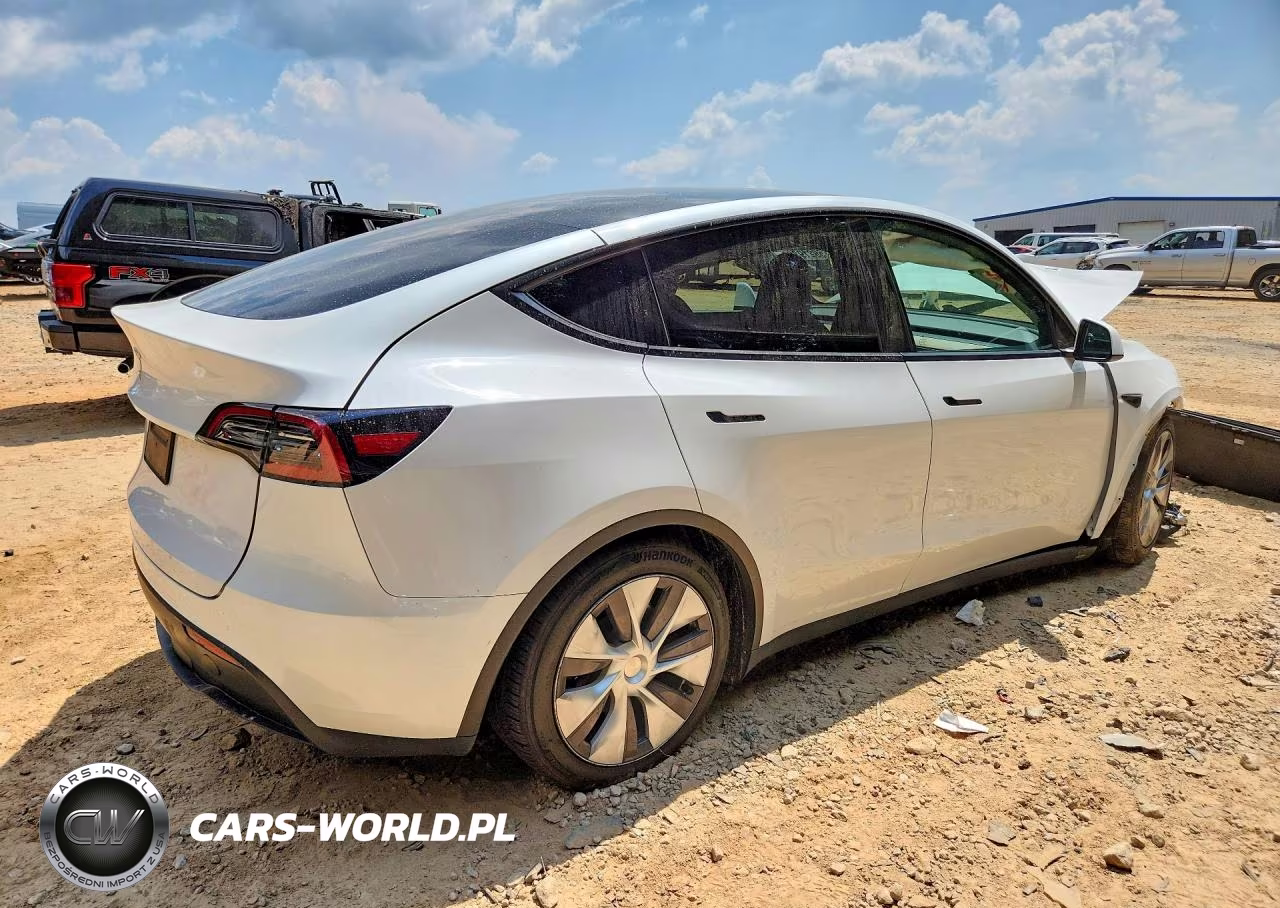 2023 Tesla Model Y VIN:7SAYGDED2PF915223 - 3