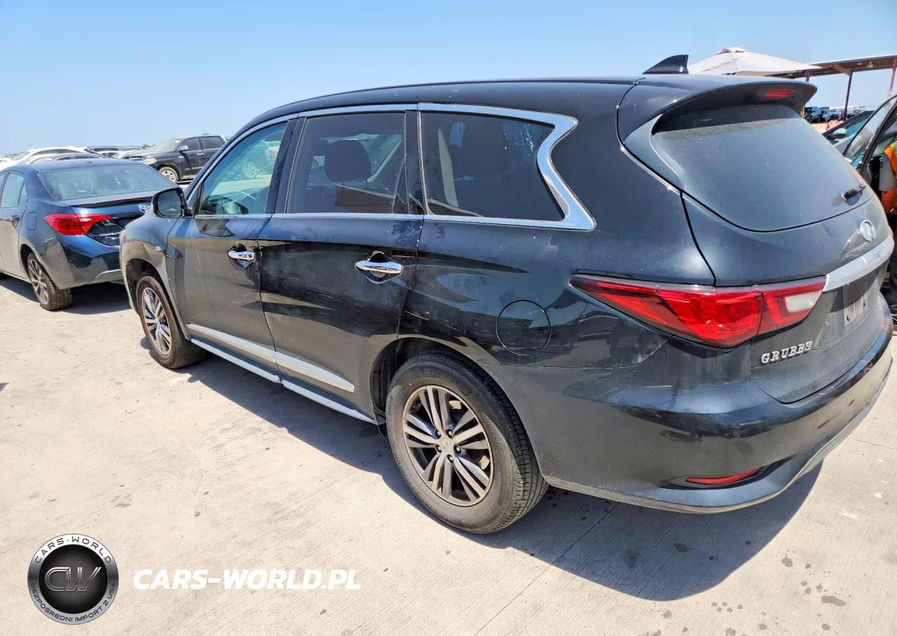 2020 Infiniti Qx60 Pure VIN:5N1DL0MN7LC532357 - 2