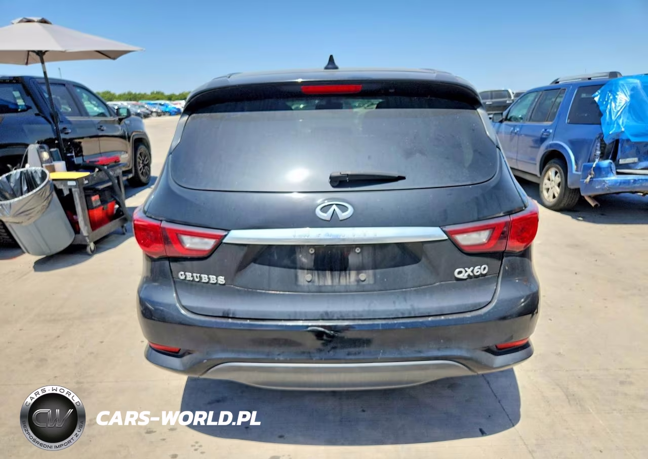 2020 Infiniti Qx60 Pure VIN:5N1DL0MN7LC532357 - 6