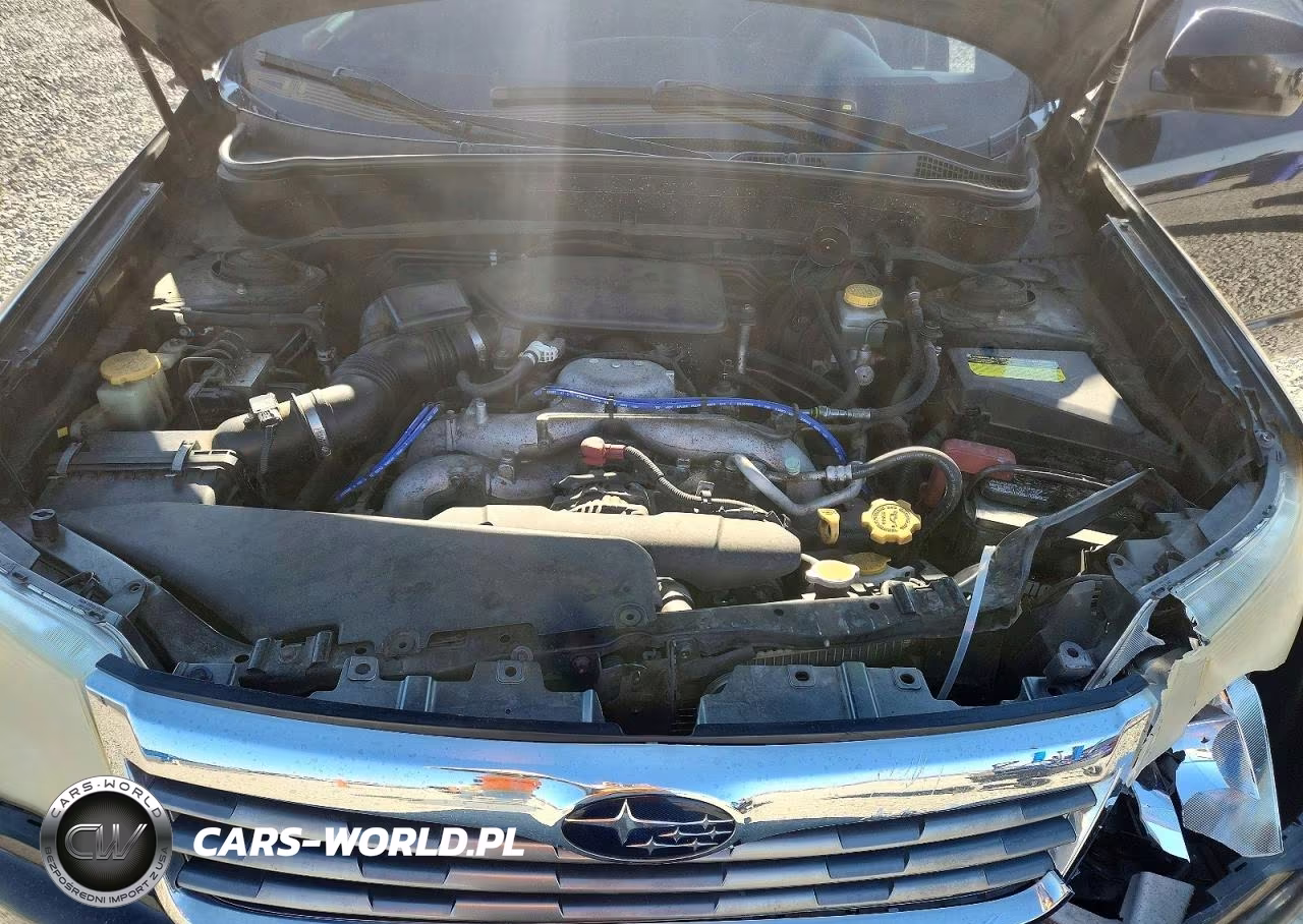 2010 Subaru Forester 2.5X Premium VIN:JF2SH6CC8AH805162 - 12
