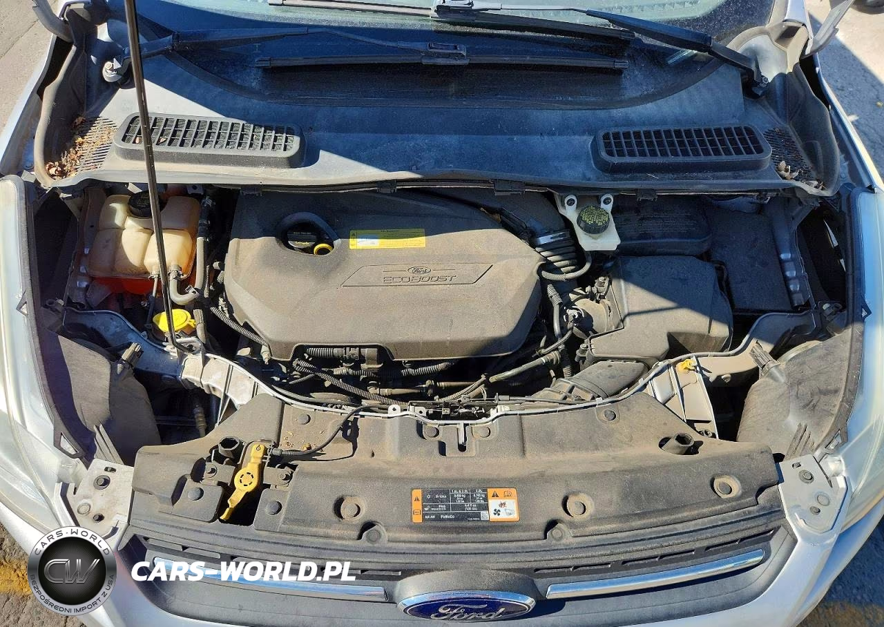 2014 Ford Escape Se VIN:1FMCU9GX1EUC68186 - 12
