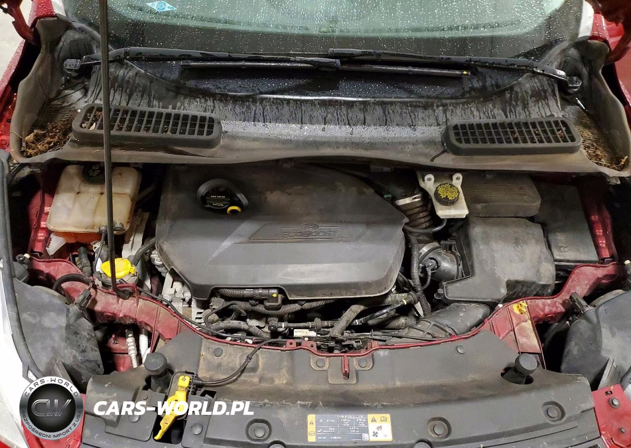 2015 Ford Escape Se VIN:1FMCU9GX4FUA60787 - 12