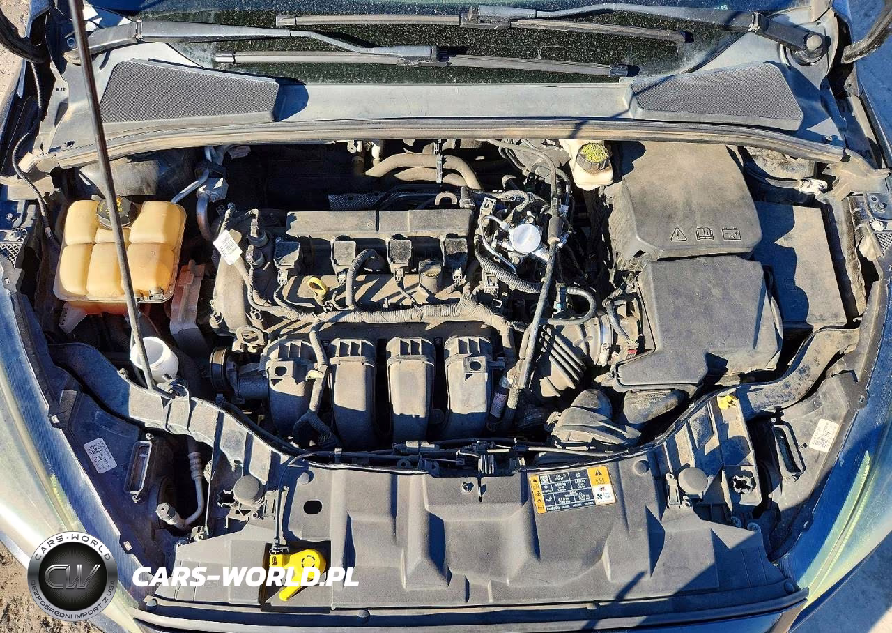2017 Ford Focus Sel VIN:1FADP3M23HL219657 - 11