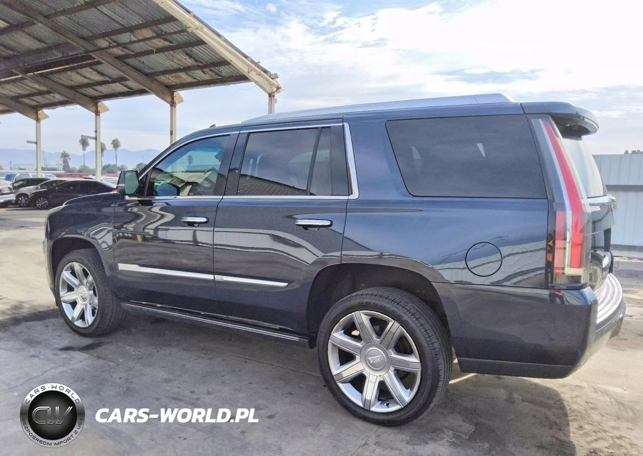 2019 Cadillac Escalade Premium Luxury VIN:1GYS3CKJ6KR116805 - 2