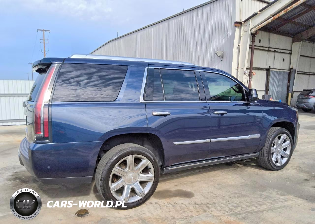 2019 Cadillac Escalade Premium Luxury VIN:1GYS3CKJ6KR116805 - 3