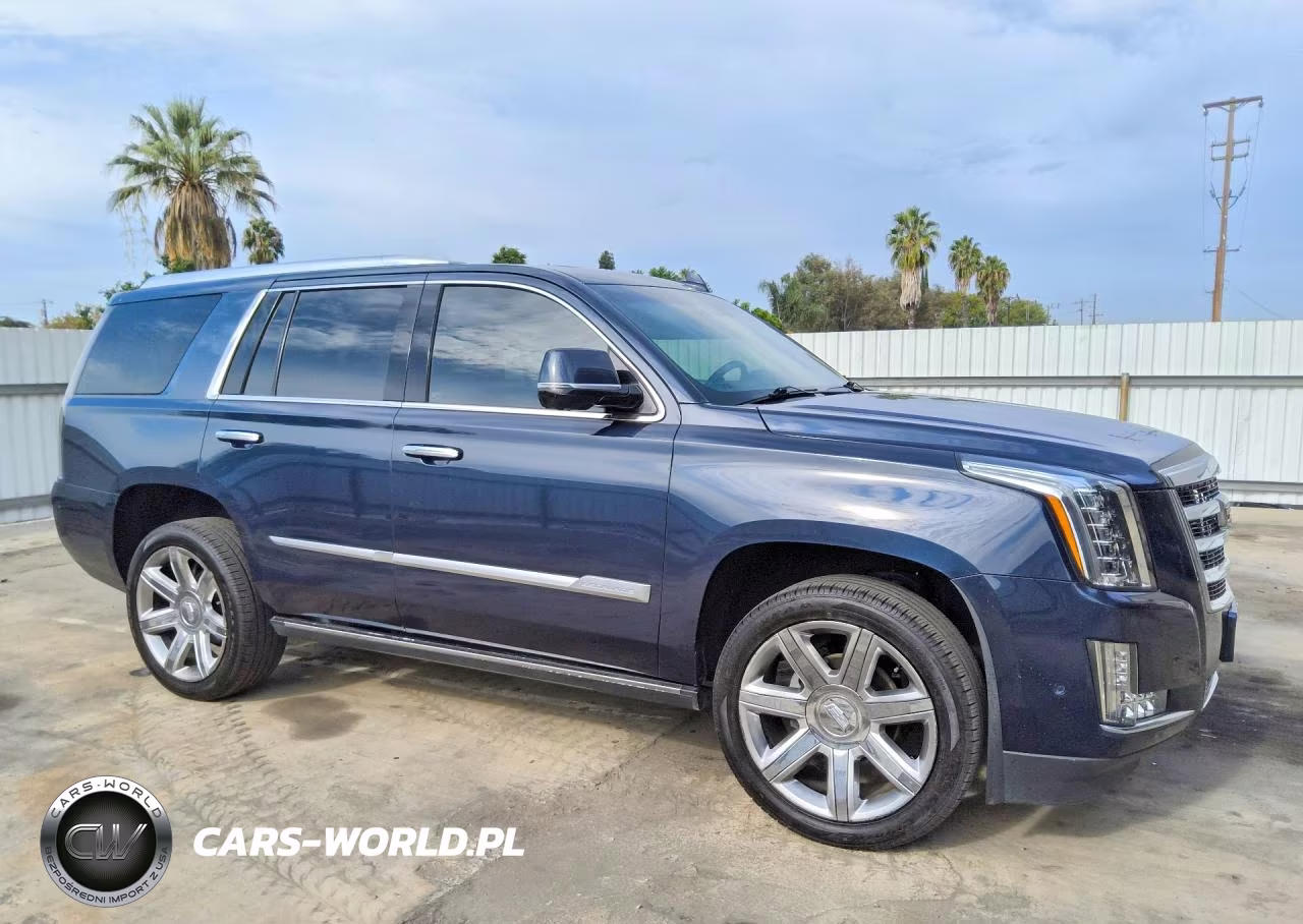2019 Cadillac Escalade Premium Luxury VIN:1GYS3CKJ6KR116805 - 4
