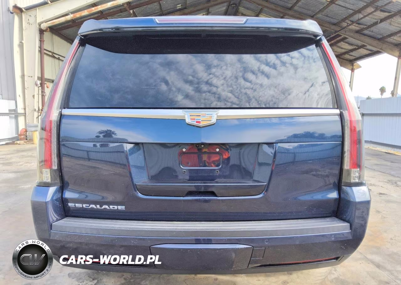 2019 Cadillac Escalade Premium Luxury VIN:1GYS3CKJ6KR116805 - 6