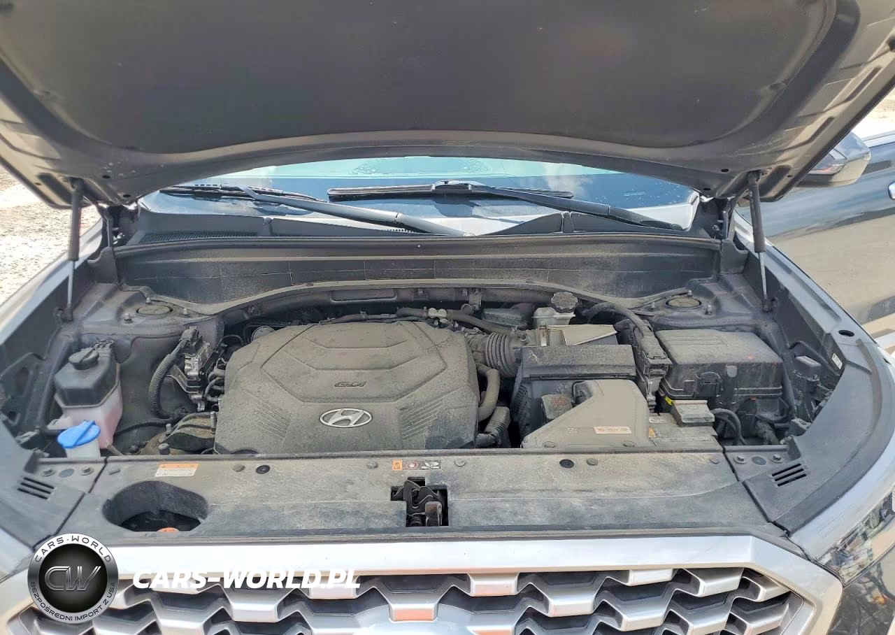 2021 Hyundai Palisade Sel VIN:KM8R2DHE2MU217648 - 12