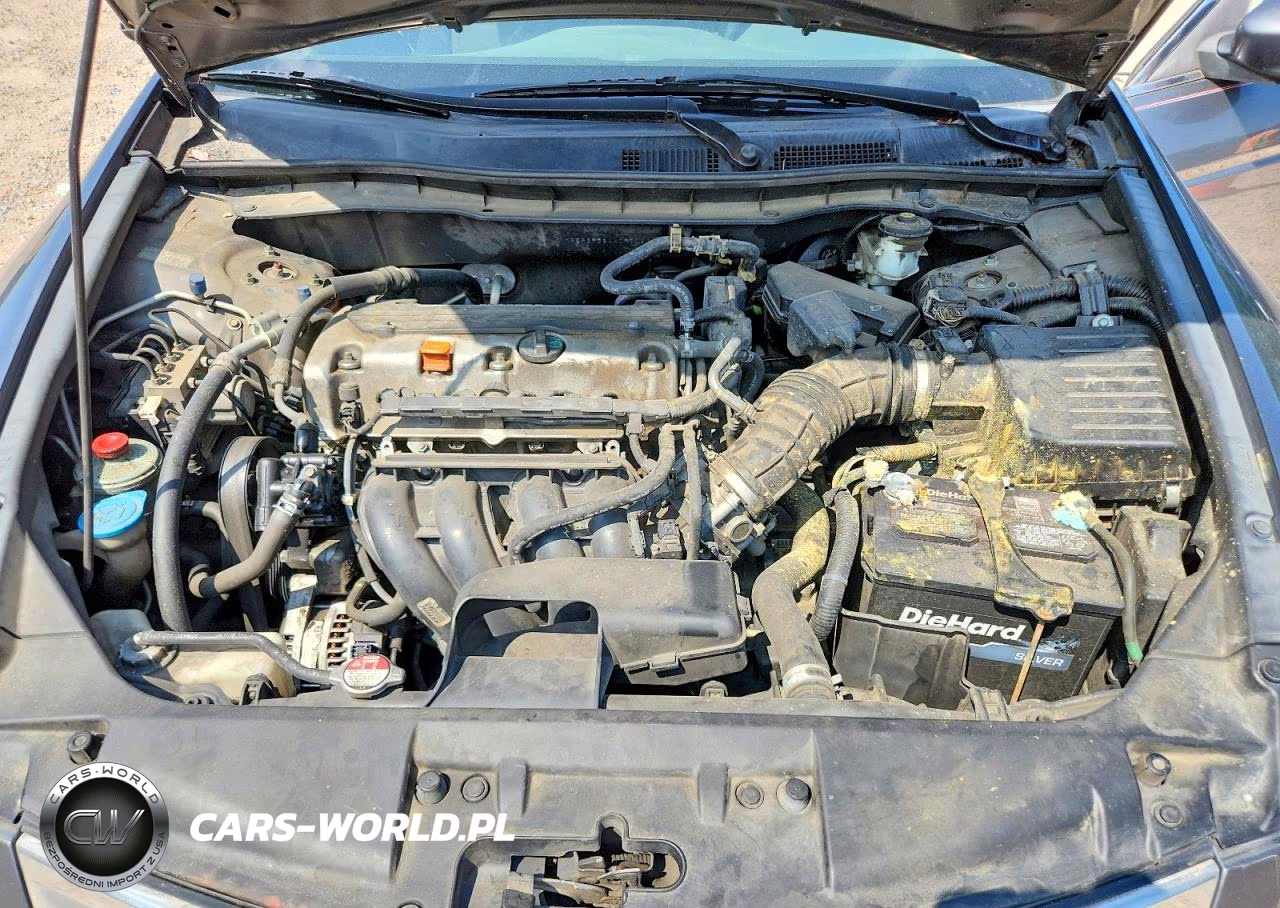 2010 Honda Accord Lx VIN:1HGCP2F36AA097031 - 11