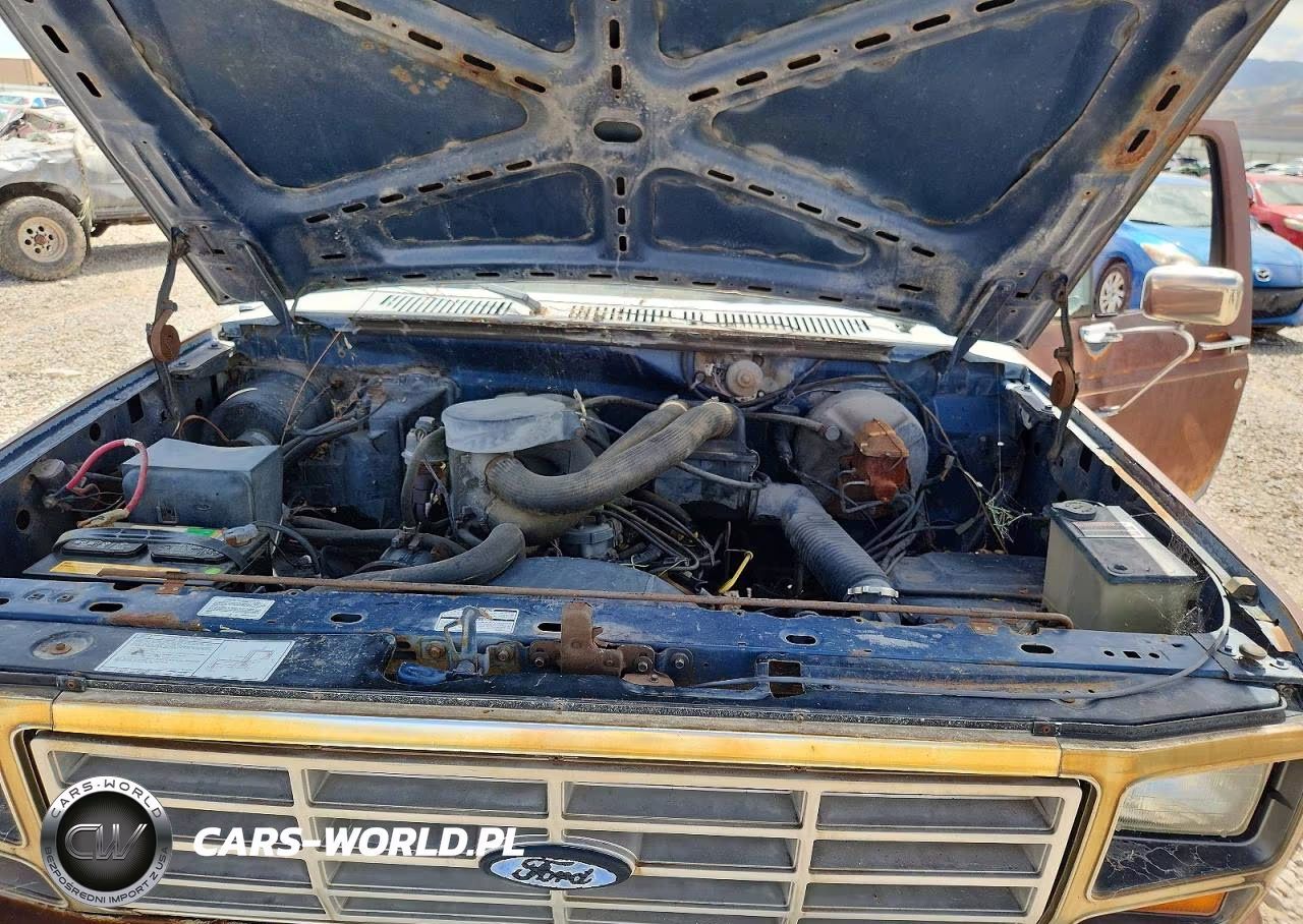 1986 Ford F150 VIN:1FTCF15N3GPA03725 - 11