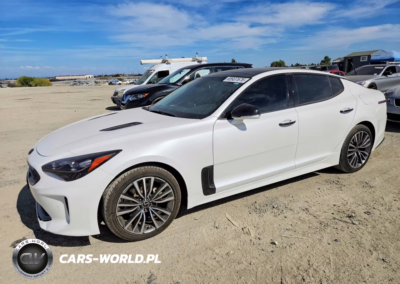 2019 Kia Stinger Base VIN:KNAE15LA3K6047959 - 1