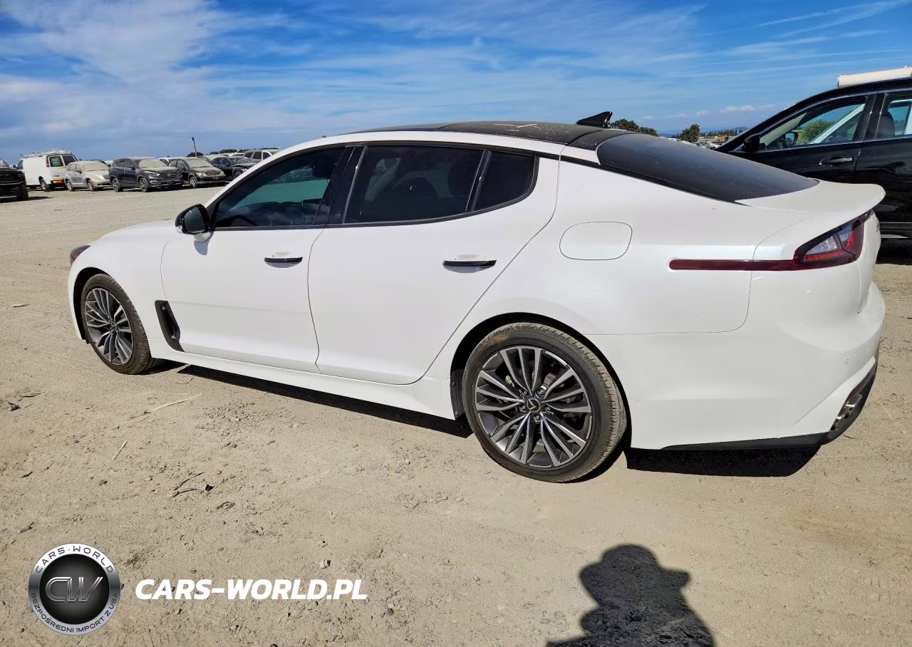 2019 Kia Stinger Base VIN:KNAE15LA3K6047959 - 2