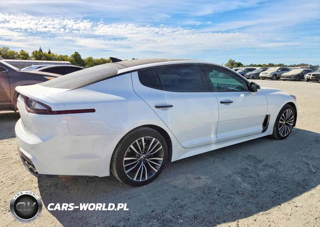 2019 Kia Stinger Base VIN:KNAE15LA3K6047959 - 3