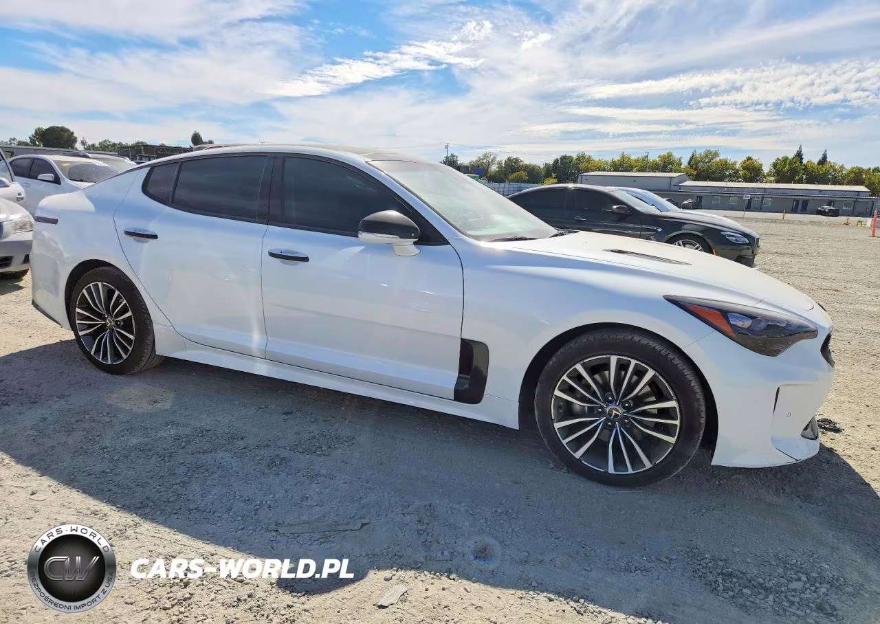 2019 Kia Stinger Base VIN:KNAE15LA3K6047959 - 4
