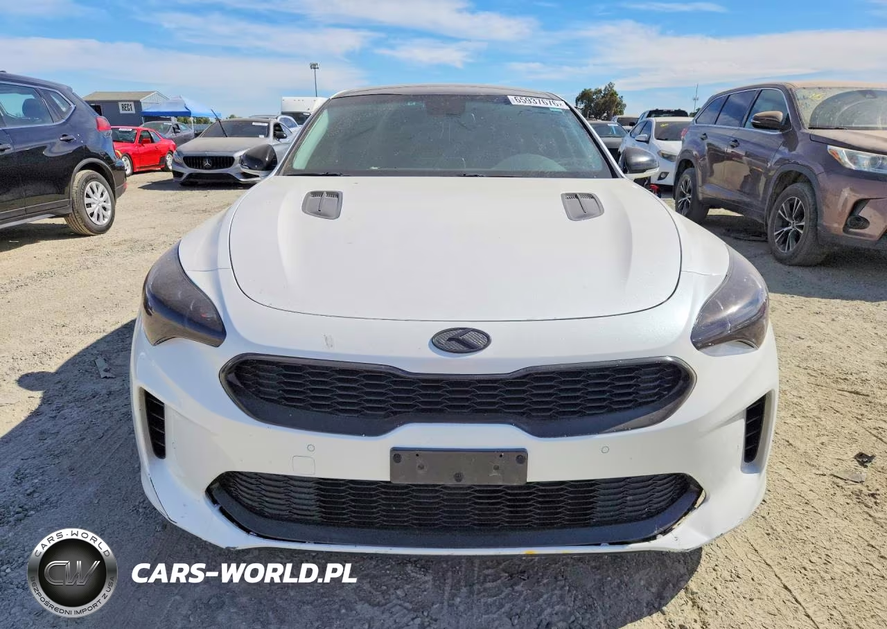2019 Kia Stinger Base VIN:KNAE15LA3K6047959 - 5