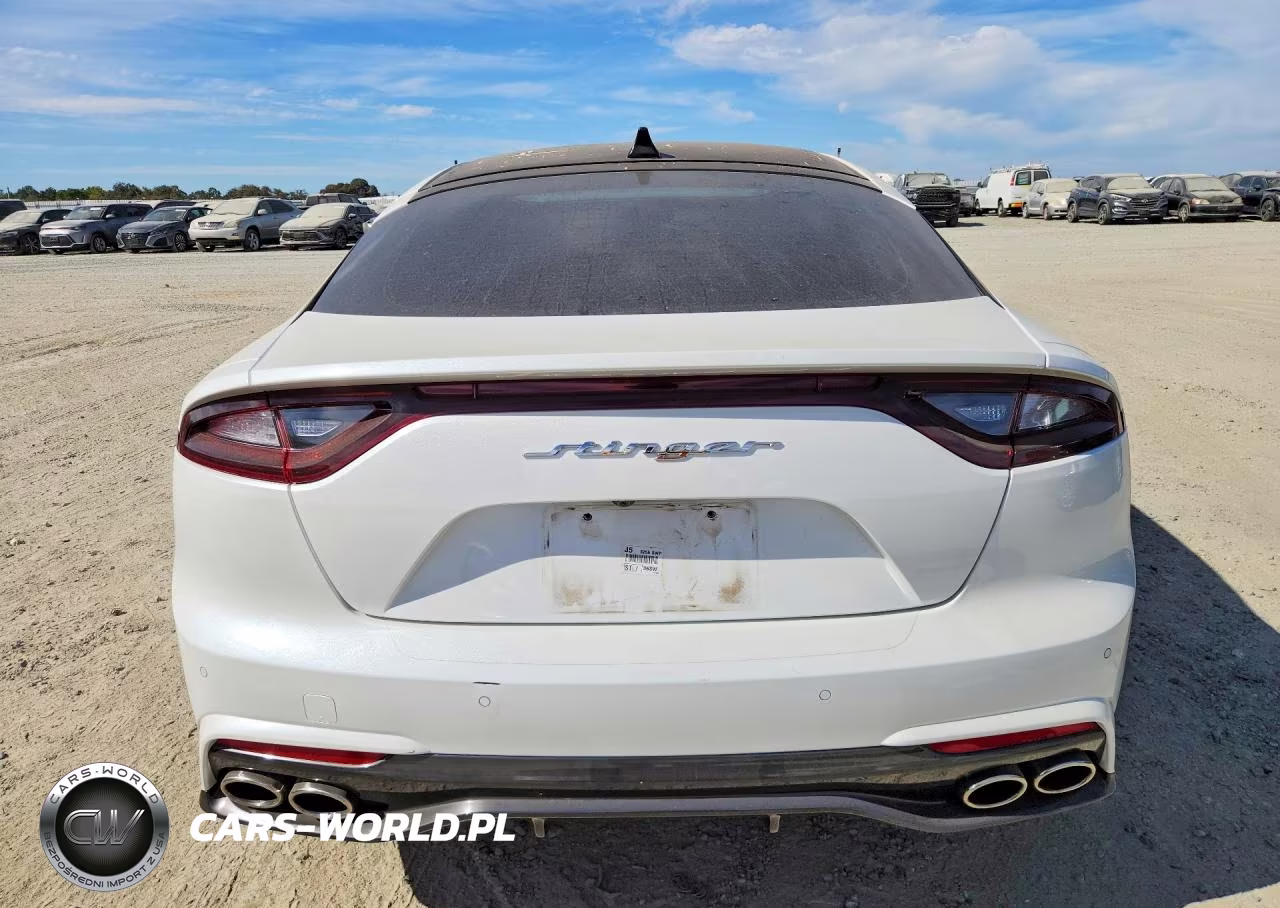 2019 Kia Stinger Base VIN:KNAE15LA3K6047959 - 6