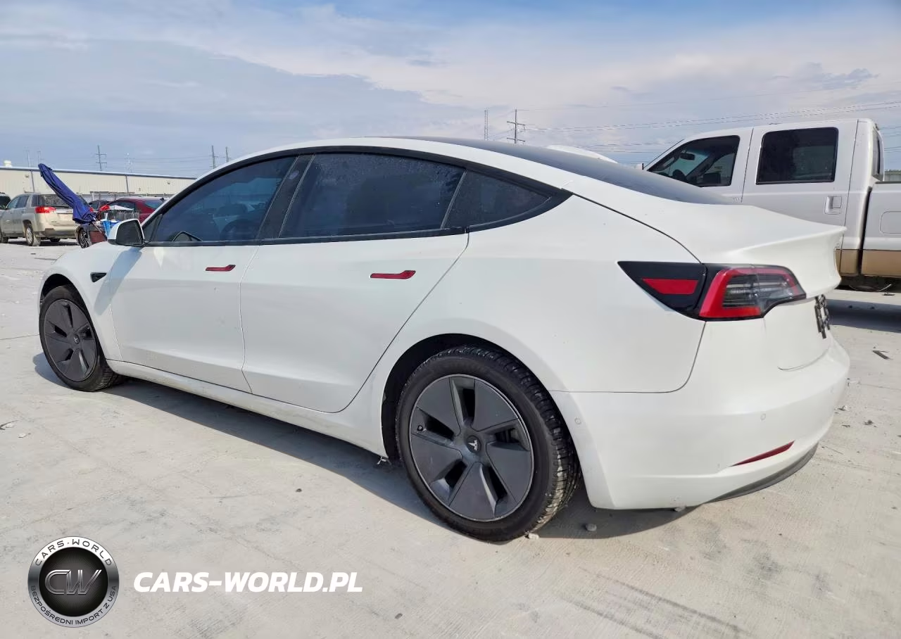 2021 Tesla Model 3 VIN:5YJ3E1EA0MF043038 - 2