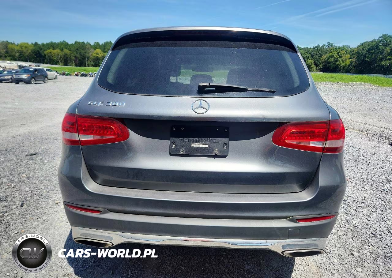 2016 Mercedes-Benz Glc 300 VIN:WDC0G4JB5GF010284 - 6