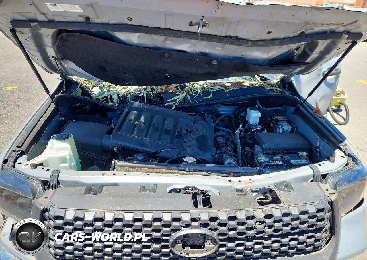 2021 Toyota Tundra Sr5 VIN:5TFRY5F12MX281955 - 11